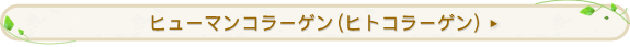 �q���[�}���R���[�Q���i�q�g�R���[�Q���j