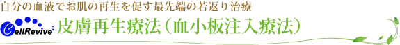 �畆�Đ��Ö@�i���������Ö@�j