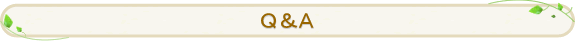 Q&A
