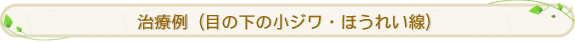 治療例(セルリバイブジータ)