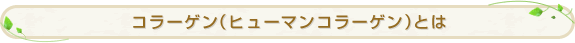 �R���[�Q���i�q���[�}���R���[�Q���j�Ƃ� 