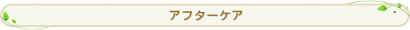 �A�t�^�[�P�A 