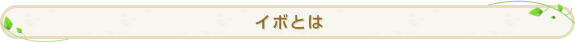 �C�{�Ƃ�