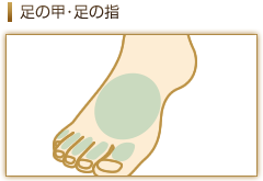 足の甲・足の指