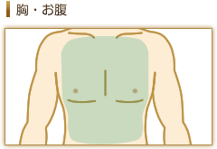 胸・お腹