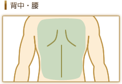 背中・腰