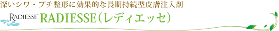 RADIESSE�i���f�B�G�b�Z�j