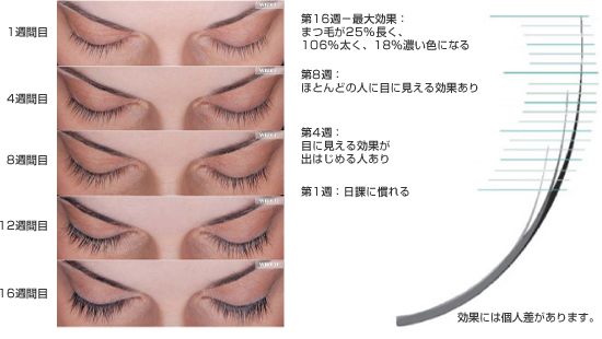 ���Â̌���