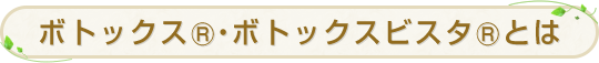 ボトックス®・ボトックスビスタ®とは