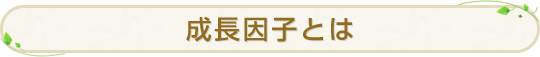 成長因子とは