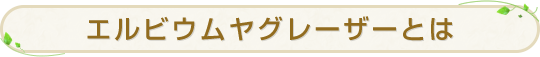 エルビウムヤグレーザーとは