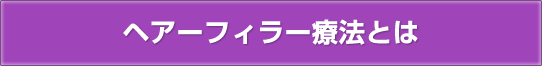 ヘアーフィラー療法とは