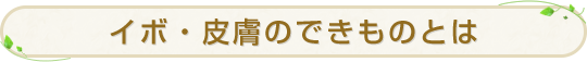 イボ・皮膚のできものとは