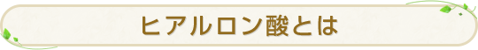 ヒアルロン酸とは