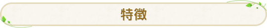 特徴
