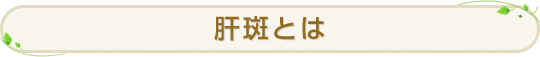肝斑とは