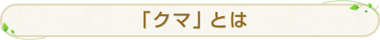 「クマ」とは