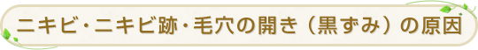 ニキビ・ニキビ跡・毛穴の開き（黒ずみ）の原因