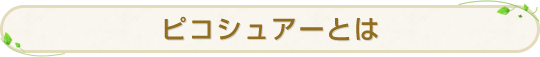 ピコシュアーとは