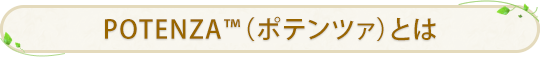 ポテンツァとは