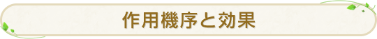 作用機序と効果