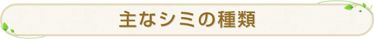 主なシミの種類