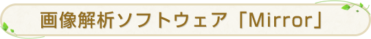 画像解析ソフトウェア「Mirror」