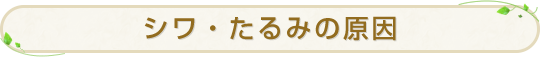 シワ・たるみの原因