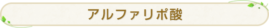 アルファリポ酸
