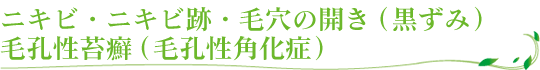 ニキビ・ニキビ跡・毛穴の開き（黒ずみ）・毛孔性苔癬（毛孔性角化症）