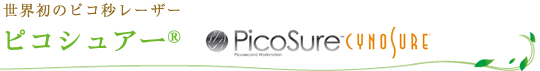 世界初のピコ秒レーザー　ピコシュアー®