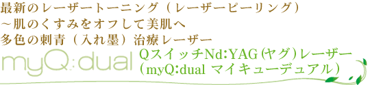 ＱスイッチＮｄ：ＹＡＧ（ヤグ）レーザー（ｍｙＱ：ｄｕａｌ　マイキューデュアル）