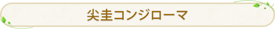  尖圭コンジローマ