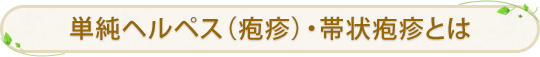 単純ヘルペス（疱疹）・帯状疱疹とは