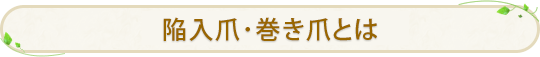 陥入爪･巻き爪とは