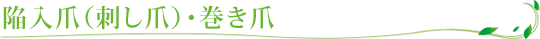 陥入爪（刺し爪）･巻き爪