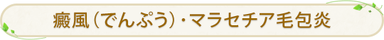 癜風（でんぷう）･マラセチア毛包炎