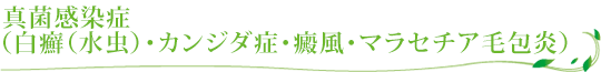 真菌感染症（白癬（水虫）･カンジダ症･癜風･マラセチア毛包炎）