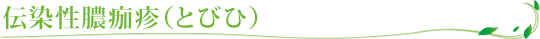 伝染性膿痂疹