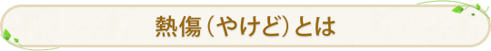 熱傷（やけど）とは