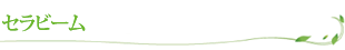 セラビーム