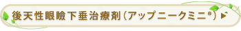 後天性眼瞼下垂治療剤（アップニークミニ®）