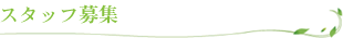 スタッフ募集